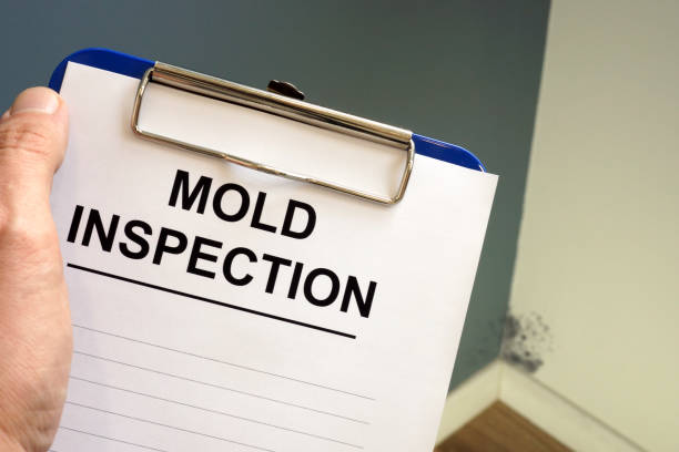 Trusted Montgomery, AL Mold Removal Experts